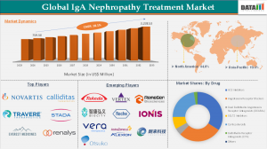 IgA Nephropathy Treatment Market