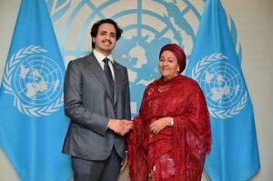H.E. Sheikh Thani bin Hamad Al-Thani, Chairperson of the Board of Directors of QFFD