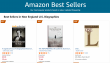 The Remembering of Leather & Stone by Charles Paul Collins Achieves #58 Position in Amazon's Top 100 Best Sellers List