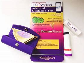 Get pregnant faster with KNOWHEN Saliva Ovulation Test