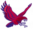 REDHAWK ANNOUNCES COMMENCEMENT OF NEGOTIATIONS WITH LEADING DISTRIBUTION PARTNER