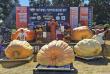 Oregon & Colorado Growers Top the Chart at California’s National Pumpkin Weigh Off