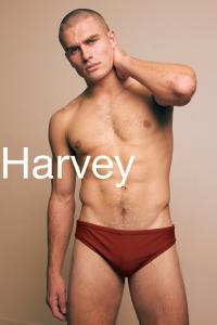Swim Brief in Clay