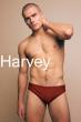 Harvey Launches Second Summer Collection with Limited Release Bronze Swim Brief