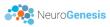 NeuroGenesis Announces Positive Phase 2 Extension Study Results of NG01 Cell Therapy in Progressive Multiple Sclerosis