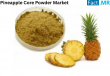 Pineapple Core Powder Market is Expected to Reach USD 278.5 Million by 2035 | FactMR Report