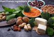 Plant Protein Ingredients Market is Expected to Reach USD 46.0 billion by 2035 | FactMR Report