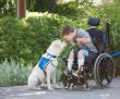 Lombard Veterinary Hospital & Canine Companions Honored with DuPage County Proclamation for National Service Dog Month