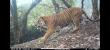 New Bhutan Initiative Links Human, Animal, and Ecosystem Health to Protect Wild Cats