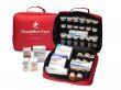 ReadyMed Healthcare Launches Seasonal Initiative: Give the Gift of Health This Fall with ReadyMed Packs