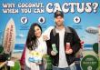 Caliwater Expanding Nationally With Walmart Launch Across 3,500 Stores