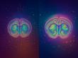 Scientists Create ChatGPT-like AI Model for Neuroscience to Build One of the Most Detailed Mouse Brain Maps to Date