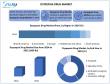 Dyspepsia Drug Market Size, Share, Trends & Global Forecast 2025-2032 | Industry Analysis & Report