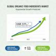Organic Food Ingredients Market Set for Robust Growth, Projected to Reach USD 847.9 Billion by 2035