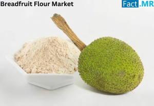 The global breadfruit flour market is projected to grow from USD 120