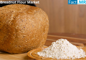 Breadnut Flour Market