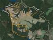  1,600± Acres w/5± Mi. of South Anna River Frontage in Louisa County, VA Set for Auction Announces Nicholls Auction Mktg