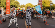 The Bovine Classic Returns to Paso Robles Wine Country October 25, 2025