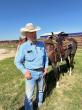 Landowners want to save ranching in the most threatened ecosystem in the world - grasslands