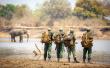 Africa's Rangers are on the Frontline Protecting Nature for People and Planet: They Need Better Support