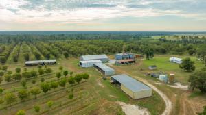 Patten Orchard