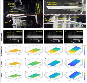 Binocular meta-lens DIC setup of wing deformation and strain field