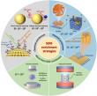 Molecular ‘Escort’ Revolution - SERS Enrichment Technology Ushers in a New Era of Single-Molecule Detection