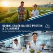 Camelina Seed Protein & Oil Market to Total US$ 394.2 Million by 2035, Expanding at a 9.1% CAGR- Fact.MR Study