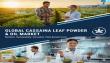 Cassava Leaf Powder Market Set to Surge at 8.7% CAGR, to Reach US$ 218.8 Million by 2035: Fact.MR Report