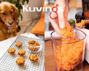 Pulp recipe_pet