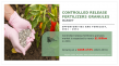 Controlled Release Fertilizers Granules Market Analysis by Type, Crop, and Region, Growth Forecast, 2031