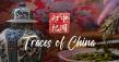 Traces of China: A Journey Through Centuries of Cultural Exchange
