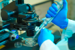 KFSHRC Madinah Performs Pioneering Allogeneic Stem Cell Transplant