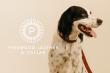 Pinewood Leather & Collar Brings Calm and Luxury to Holiday Gifting With the First Truly Luxury Dog Seatbelt