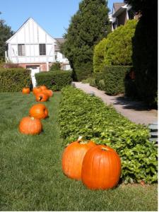 Southampton Inn in the Fall (Photo Credit: SHI)