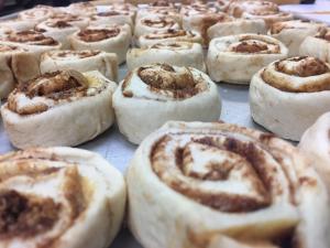 Unbaked cinnamon rolls lined up on a tray, ready for baking during the search for the World’s Best Cinnamon Roll.
