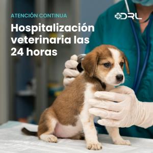 Urgencias 24h - 365 días del año