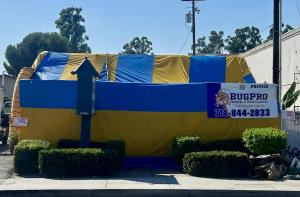 Tenting for German Cockroaches and other pests