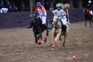 Argentina Represents Zone B in the II FIP Arena World Polo Championship 2025 in Virginia 20 two arena polo players on horses during international arena polo competition
