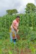 Gender equality is key to tackling hunger and malnutrition crises, says Heifer International