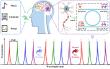 All-optical digital logic and neuromorphic intelligent computing based on wavelength auxiliary & competition