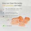 Clean Remedies Reinforces Commitment to Transparency and Quality with 100% Happiness Guarantee