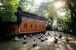 Genesis Summit: Kung Fu Renaissance – Returning to the Origin - Cosmic Consciousness in Unity with Humanity