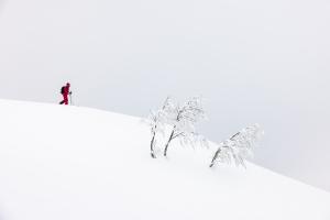  Aomori Spring Resort
