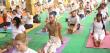 Rishikul Yogshala Announces 200 Hour Yoga Teacher Training in India