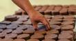 Ricardo Jose Haddad Musi Highlights the History and Sustainability of Oaxacan Chocolate