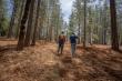 New Butte Fire Safe I Forest Resilience Bond Launches to Protect Communities and Reduce Wildfire Risk in Butte County