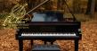 Charleston Competition Publishes 2025 Autumn Music Finalists
