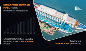 Singapore Bunker Fuel Market Statistics