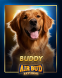 AIR BUD RETURNS Production Rolls in ‘Fernfield’ with Buddy and Ensemble Cast